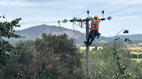 SSEN A man in a harness repairs an overhead power line. He is wearing a yellow hard hat and high-vis orange vest. He is perched at the top of a wooden pole holding power lines, with trees in the foreground and hills in the background.