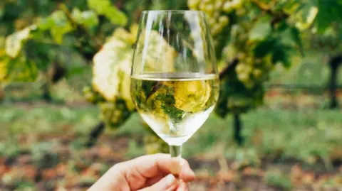 A glass of white wine is held up in front of some vines