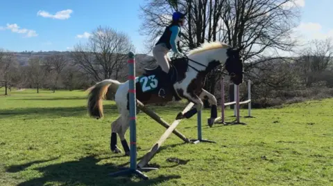 BBC A brown and white horse with the number 23 on their side is going over two wooden beams at an angle. Trees and a blue sky are in the distance.