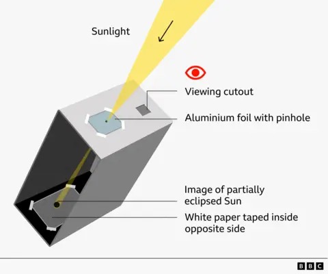 Illustration of a box-style pinhole projector which can be used to view an eclipse safely. A cardboard box is shown in cross-section. A yellow beam labelled “Sunlight” enters through the pinhole in a piece of aluminium foil attached to the top of the box. Inside, the light projects an image of a partially eclipsed Sun onto a sheet of white paper fixed to the opposite interior wall. A separate viewing window cut-out of the top of the box allows the observer to look inside and see the projected image.