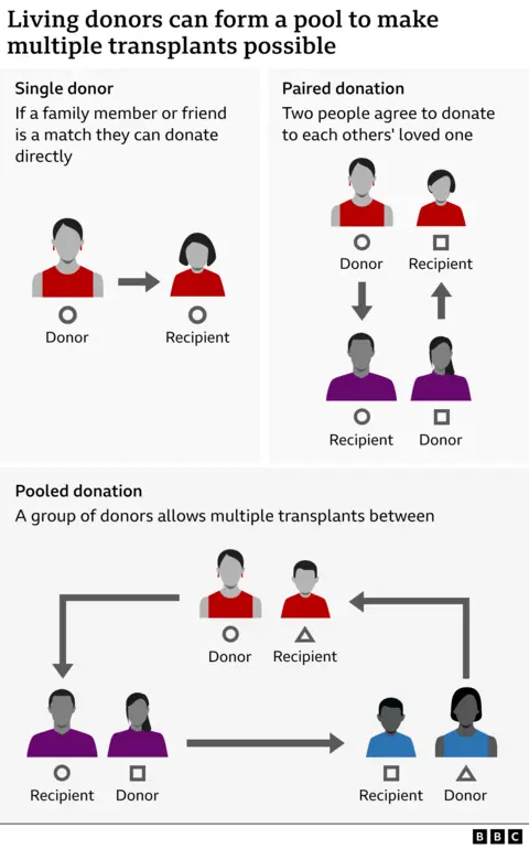 Graphic showing how the kidney exchange scheme works. It starts by showing what happens with a single donor, then with a matched donation before showing, using cartoon images of people, how a joint donation can work with a donor who gives to one person, a donor who can't use and that matches another one that then matches the first pair again.