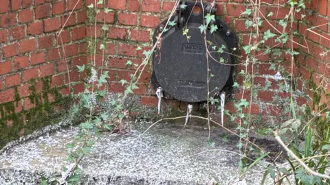 Sue Kipps White mushed up toilet paper hanging from a closed sewage pipe with more mulch lying on the concrete below the pipe