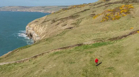 Drone image of the Dorset coast with green fields leading down to cliffs, with the sea to the left.