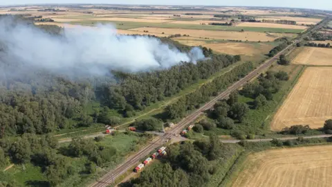 Cambridgeshire Fire and Rescue Service A drone image of a field where smoke can be seen in the sky, with trees burning and red fire engines parked on the side road.