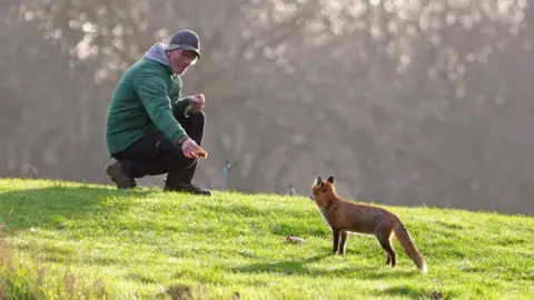 Peterborough Walks A man wearing a green jacket and black trousers, kneeling down to offer a food time to a fox standing in front oh him.