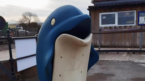 Dolphin bin