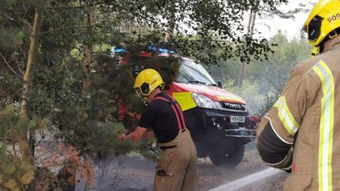 Two firefighters using hoses with a wildfire vehicle in the background spraying water on smoking forest trees