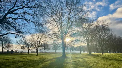 Claire-the-Pear A path lined with large trees and mown grass. There is one person walking. The sun is bursting through the trees and there are blue skies over head on a crisp winter day.