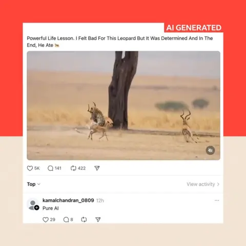 Unknown An AI-generated image, posted on Facebook, showing a fake leopard hunt; under it, a commenter writes "Pure AI"