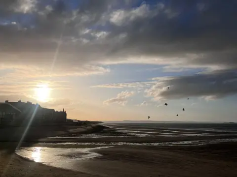 Caroline Brown A beach at sunset with buildings in the background and birds flying in a cloudy sky