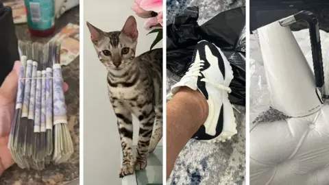 A composite showing a hand holding several bundles of £20 notes, a black and grey cat, a leg with a black and white trainer and a sleek white kettle