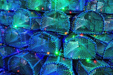 Jane Barlow/PA Media A close up of the creels, loaf-shaped pots with metal frames covered in green netting.