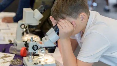 University of Northampton Boy looks through  microscope at a slide