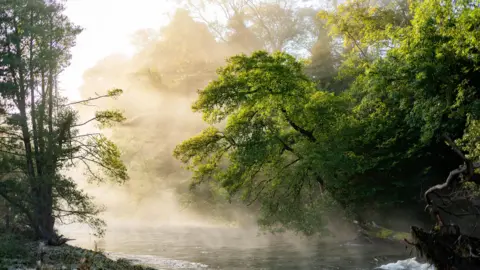 Joe Roper A river with overhanging trees. There is mist above the surface of the water which is calm with a bit of white water in the bottom right corner. The light is golden, making some of the leaves appear lighter green. The trees further up stream are obscured by the mist coming off the river. The sky also looks white because of it.