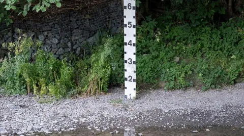 Getty Images The river height marker at a ford on the River Redlake is completely exposed, with water levels under the 1 marker. Pebbles line the bottom of the water and bank, and weeds grow alongside the water.
