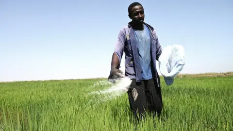 Getty Images A man using fertiliser in a field