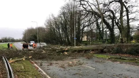 BBC Huge tree fallen on the A59 in Longton, Lancashire, stretching across the road in both directions during Storm Darragh