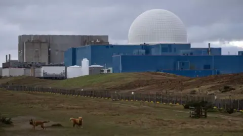 Getty Images Wylfa power station in Anglessey