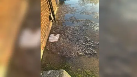 Hayley Ling The sewage in Ms Ling's garden