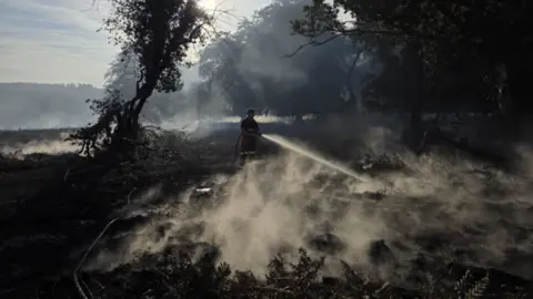 A firefighter tackling a fire in a heathland