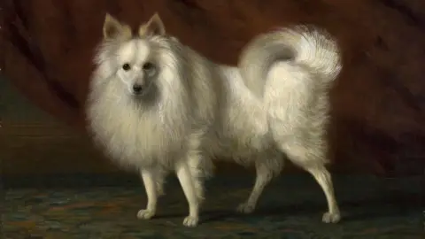 Norfolk Museums Service A fluffy white dog painted oil on canvas in 1883. The painting is called The White Dog and is by the artist Vivian Crome. 