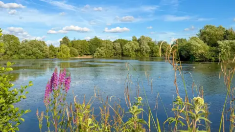 BBC Weather Watcher Riki61 A large pond/lake on a summer's day at Thatcham, West Berkshire