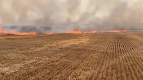 Abi Monkman A crop field with flames burning across it, with thick grey smoke rising from it.