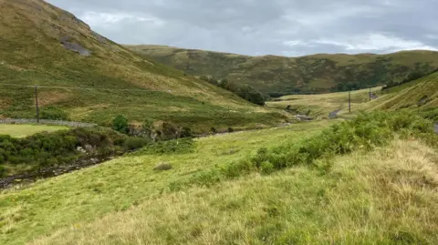 A row of electricity poles stretch across a green valley with a river cutting through the centre of the image 