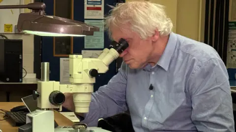 A man in a blue shirt with white hair looking through a microscope in a lab