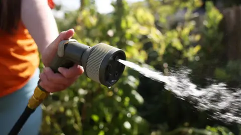 A cropped image showing a woman's arm holding a hosepipe squirting water in front of foliage.
