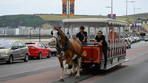 A horse tram being pulled by a horse with a name tag that says Chloe.