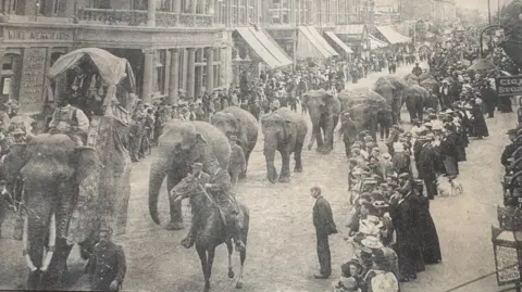 Chris Stone A black and white photo showing people lining a street with elephants walking down the middle.