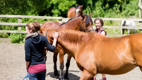 Red Horse Foundation Two people hold the reigns of two light brown horses in a paddock. It is a bright and sunny day. The people are guiding the horses in the paddock, they are smiling and the horses equally look content.