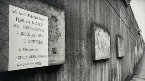 Moyra Peralta A black and white image showing a concrete wall with a handwritten sign pasted to it, reading; 'We want freedom from fear and distress, pain, injury or disease, hunger and thirst, discomfort, and freedom to express normal behaviour. The RSPCA for hens'