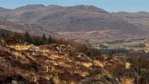 OutdoorLads Hardknott Forest landscape which is covered in trees, grass and plants. Mountains can be seen in the background.