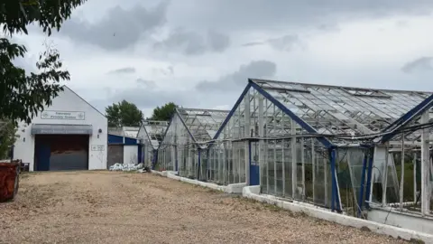 A photo of rows of broken greenhouses in a gravel carpark. There is a hut to the left with a sign saying "Guernsey Freesia Centre".