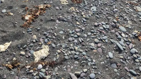 BBC / Stan Tobin White blobs are photographed on the shoreline among rocks, seaweed and sand.