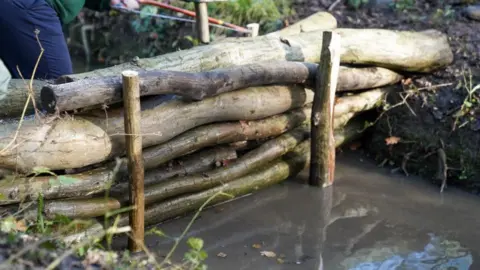 Logs and sticks have been piled on top of one another on a stream.