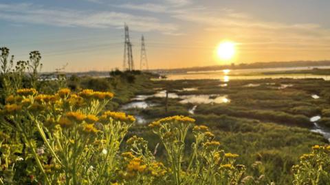 MONDAY - The sun rises over Poole Harbour, it glows a bright yellow on the horizon. In the foreground there are yellow flowers, behind two out-of-focus pylons carry wires across the water. The sun is reflecting in the water that near the shore is full of green plants. The clear sky above glows orange.