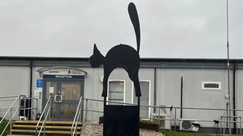 Tony Fisher/BBC A statue of a black cat with its tail in the air outside a National Highways compound.