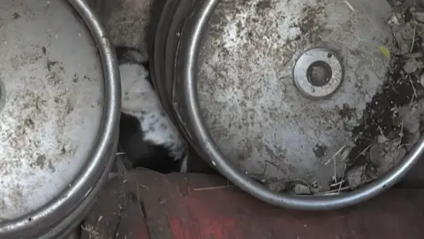 Corby Fire Station A dog at the bottom of a well, but a large number of cylinders. You can just see park of his fur, that is black and white. The cylinders are dirty.