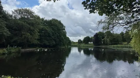 Dan Bater/BBC A lake within a park which has trees and grass around the edges, and a few swans swimming on it. The sky is cloudy with small bits of blue. 