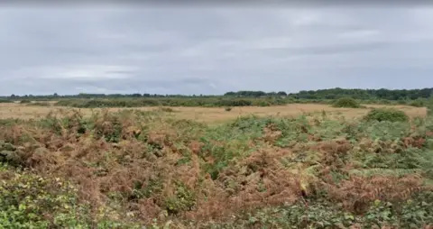 Quarry land - greenfield and brown vegetation.