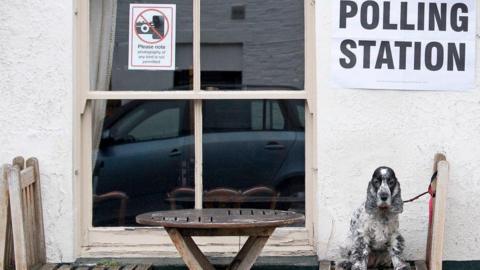 A dog sitting outside a polling station