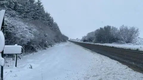 Snow covers the empty A395 from Launceston to Otterham and the trees and verges lining it.