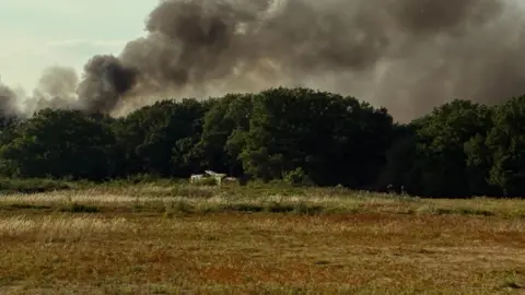 Pete Walker/BBC A large plume of dark black smoke emanates from a fire. The land is parched dry and a line of green trees separates the field from the smoke. A fire engine is between the trees and field. 
