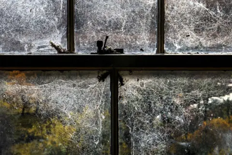 Angus Mackay Photography The window is dirty and covered in thick cobwebs. 