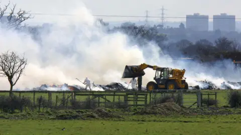 Getty Images Livestock suspected of carrying foot and mouth disease is incinerated in a trench of the fields of an Essex farm, 2001. A yellow digger is seen by the pyre, along with figures wearing white biohazard suits holding poles as white smoke fills the air. 