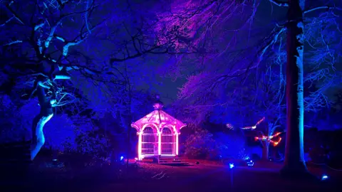 Jim Duggan A pagoda is lit in a purple light with the shapes of spooky dark trees all around it.