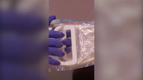 Purple gloves holding onto what appears to be a clear plastic bag with white handles.